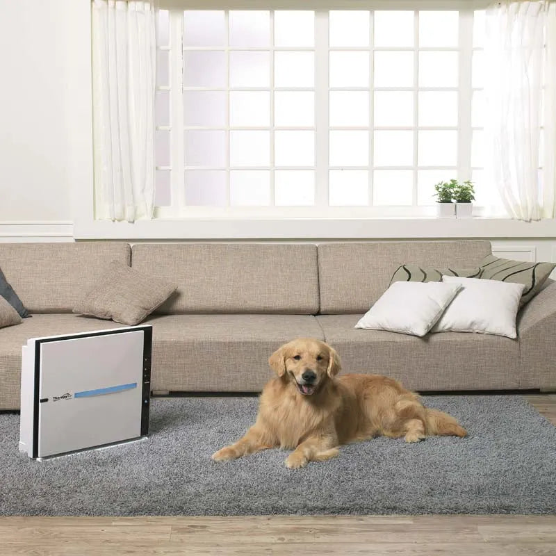 Zepter Therapy Air iON Luftreiniger im Wohnzimmer neben liegendem Golden Retriever auf grauem Teppich