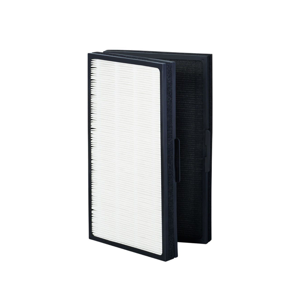 Blueair Pro M/L/XL Partikelfilter, zwei gefaltete HEPA-Filterelemente in schwarzer Rahmung, aufgestellt