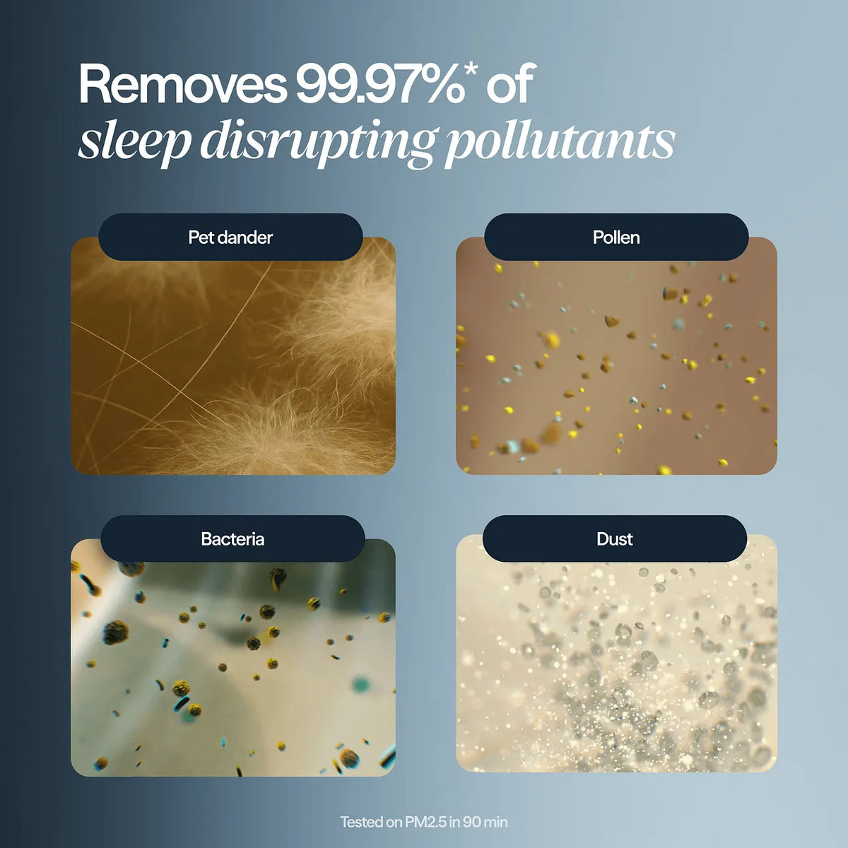Grafik mit vier Nahaufnahmen: Tierhaare, Pollen, Bakterien und Staub, entfernt zu 99,97 % laut Blueair Mini Restful