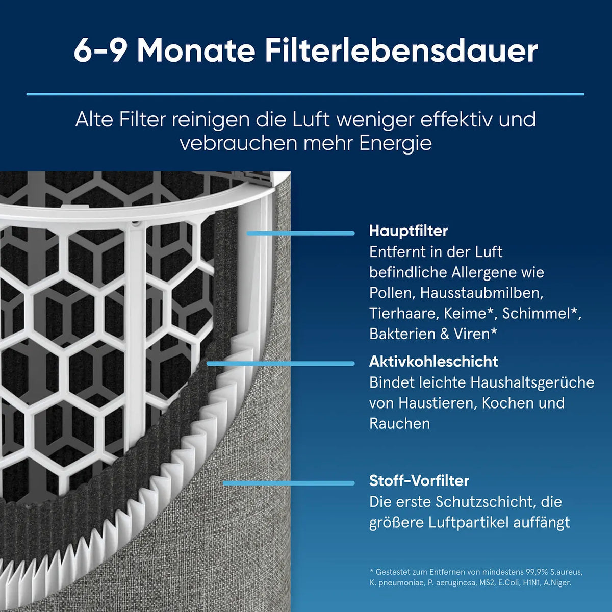 Grafik zum Blueair Luftreiniger-Filter mit Aufbau aus Hauptfilter, Aktivkohleschicht und Stoff-Vorfilter, 6-9 Monate Filterlebensdauer