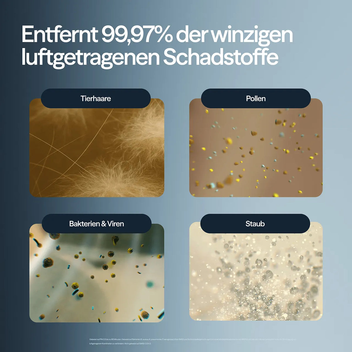 Grafik mit vier Nahaufnahmen zu Tierhaaren, Pollen, Bakterien & Viren und Staub, entfernt 99,97% der Schadstoffe